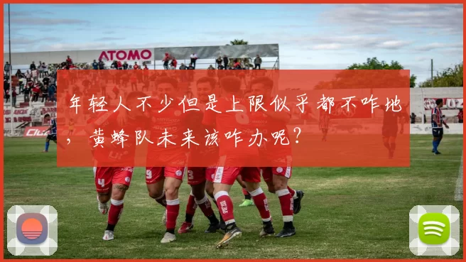 年轻人不少但是上限似乎都不咋地,黄蜂队未来该咋办呢?