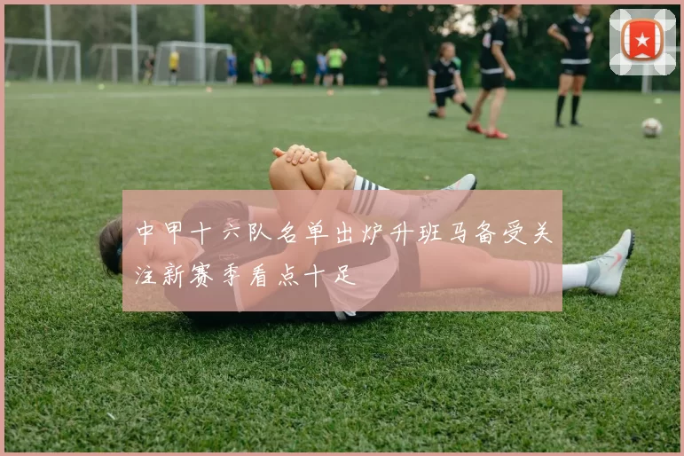 中甲十六队名单出炉升班马备受关注新赛季看点十足