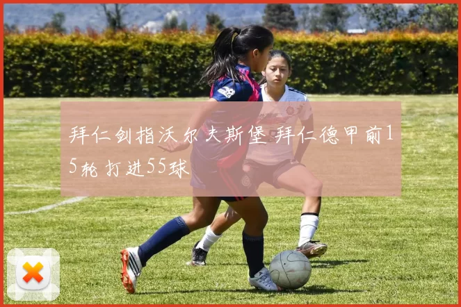 拜仁剑指沃尔夫斯堡 拜仁德甲前15轮打进55球