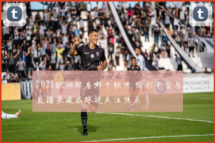 2021欧洲杯看哪个软件 购彩平台与直播渠道成球迷关注焦点